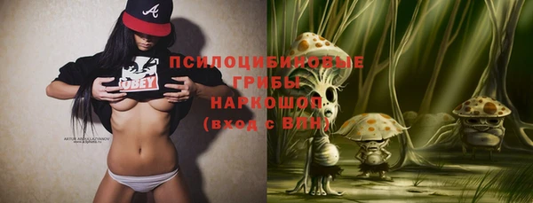 PSILOCYBIN Верхний Тагил