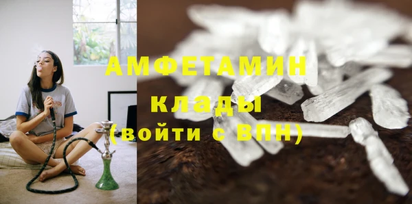 PSILOCYBIN Верхний Тагил